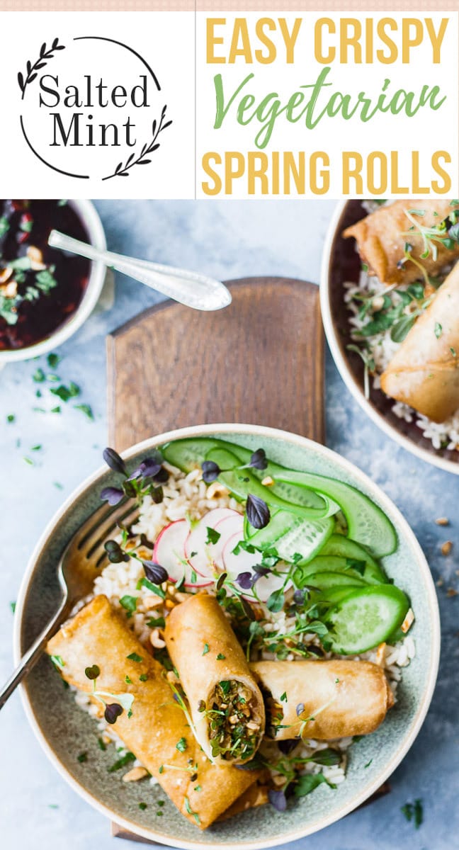 Vegetarian spring rolls with dipping sauce.