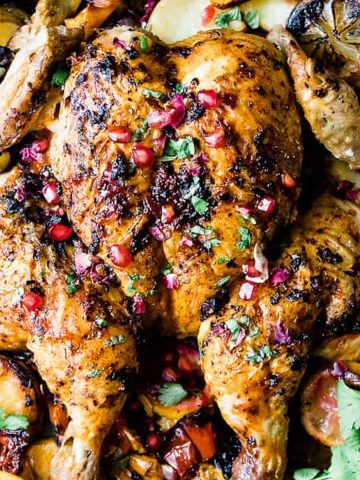 Harissa roasted chicken with potatoes and lemon.