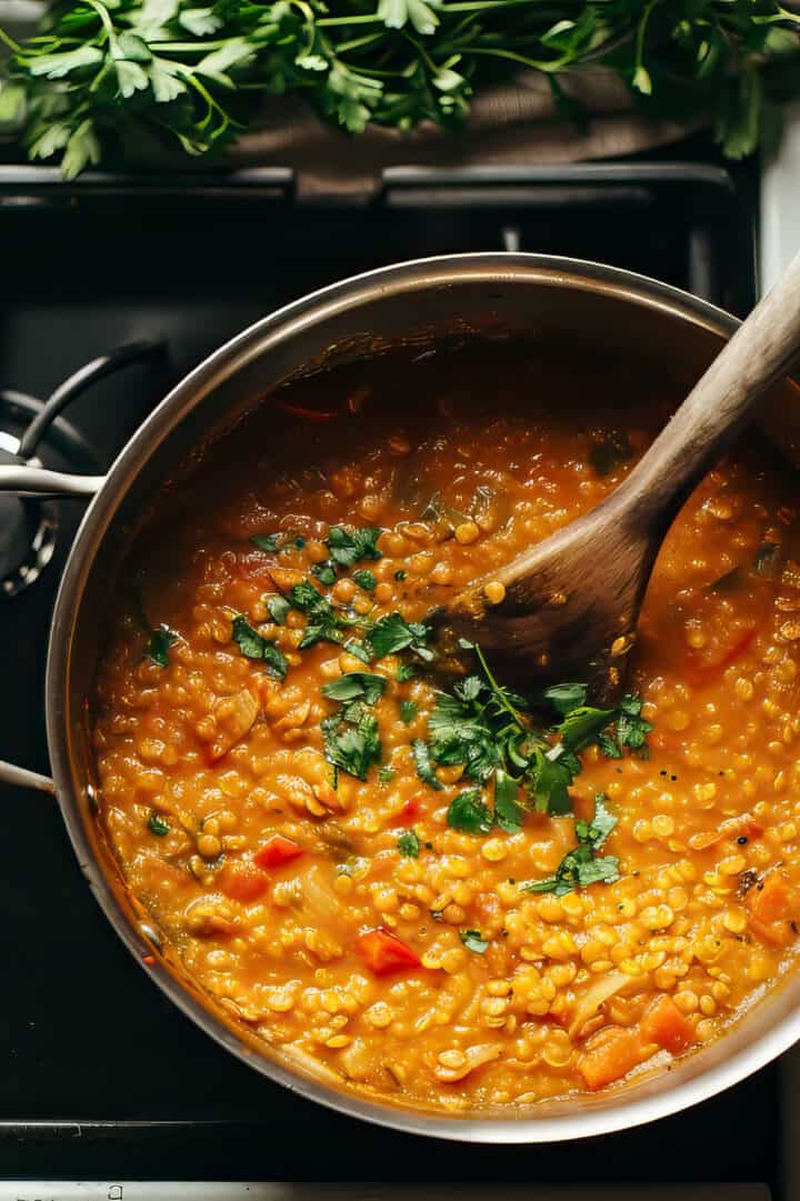 The BEST Easy Red Lentil Curry • Salted Mint